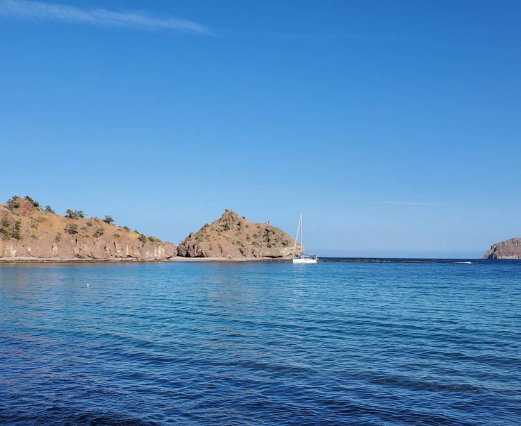 Voyage photo from Agua Verde-Isla San Francisco 