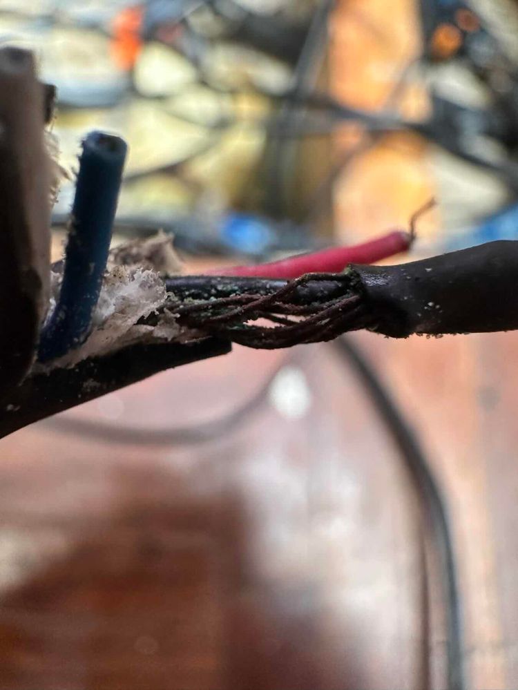 Voyage photo from Green to Salurdup