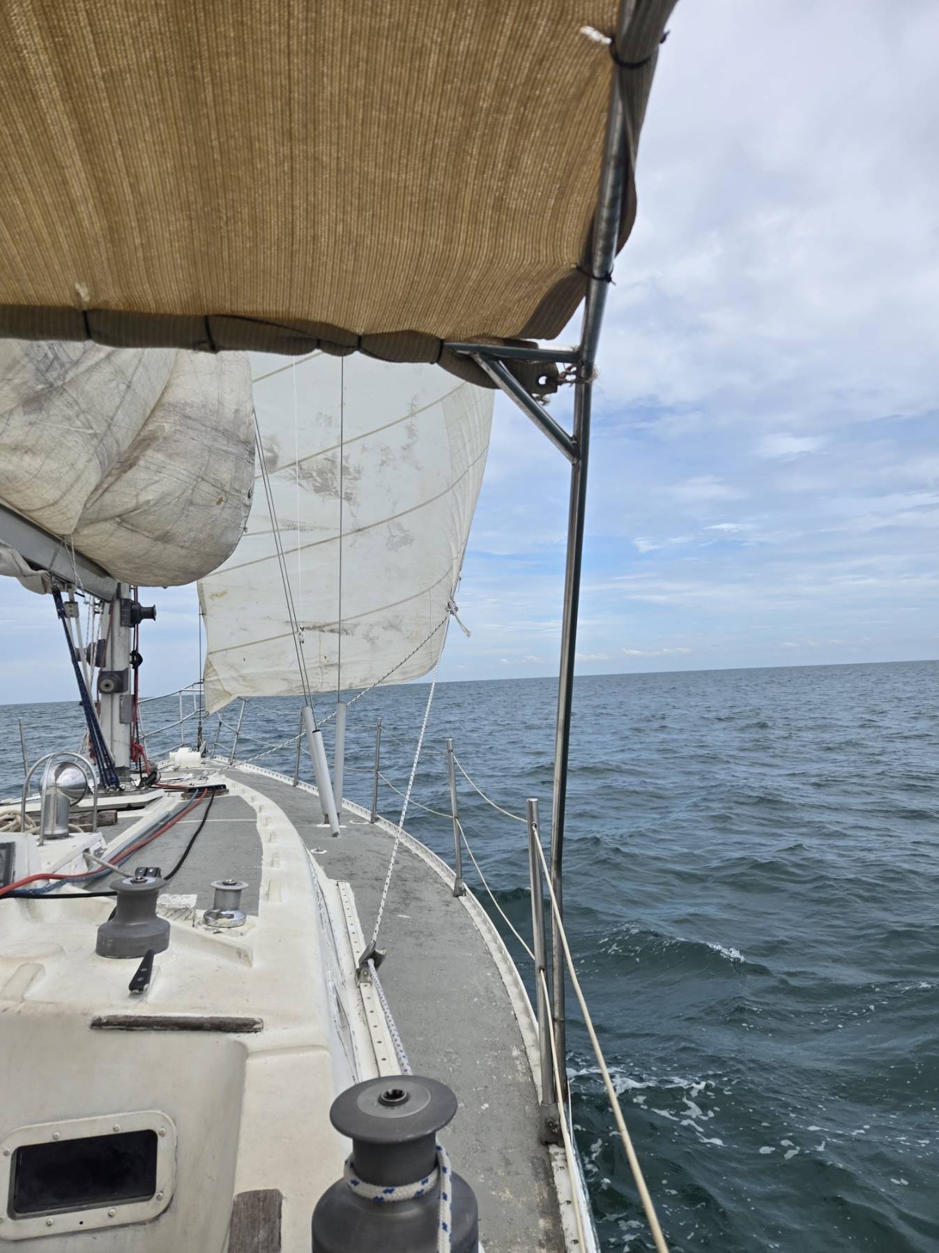 Inshore Skipper - Aliff
Competent Crew_9783AB39-83EB-4645-8AC2-3E7463517C81
