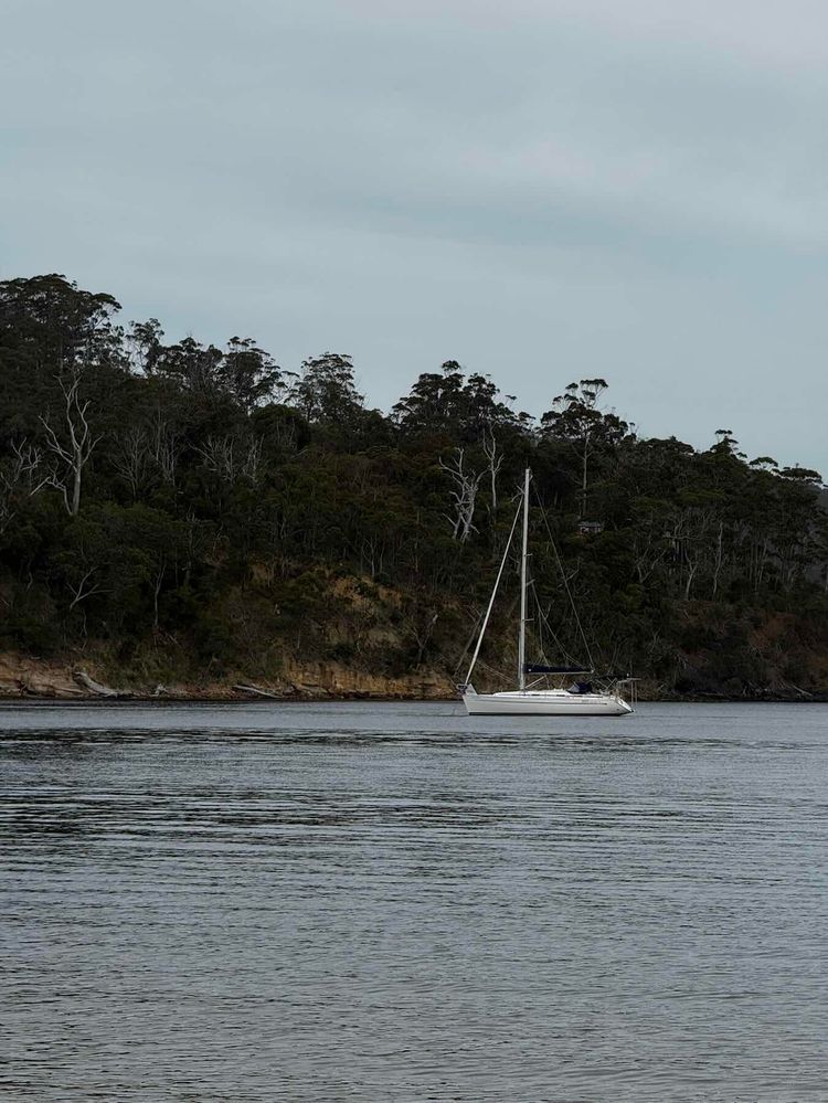Voyage photo from Voyage to Randalls Bay