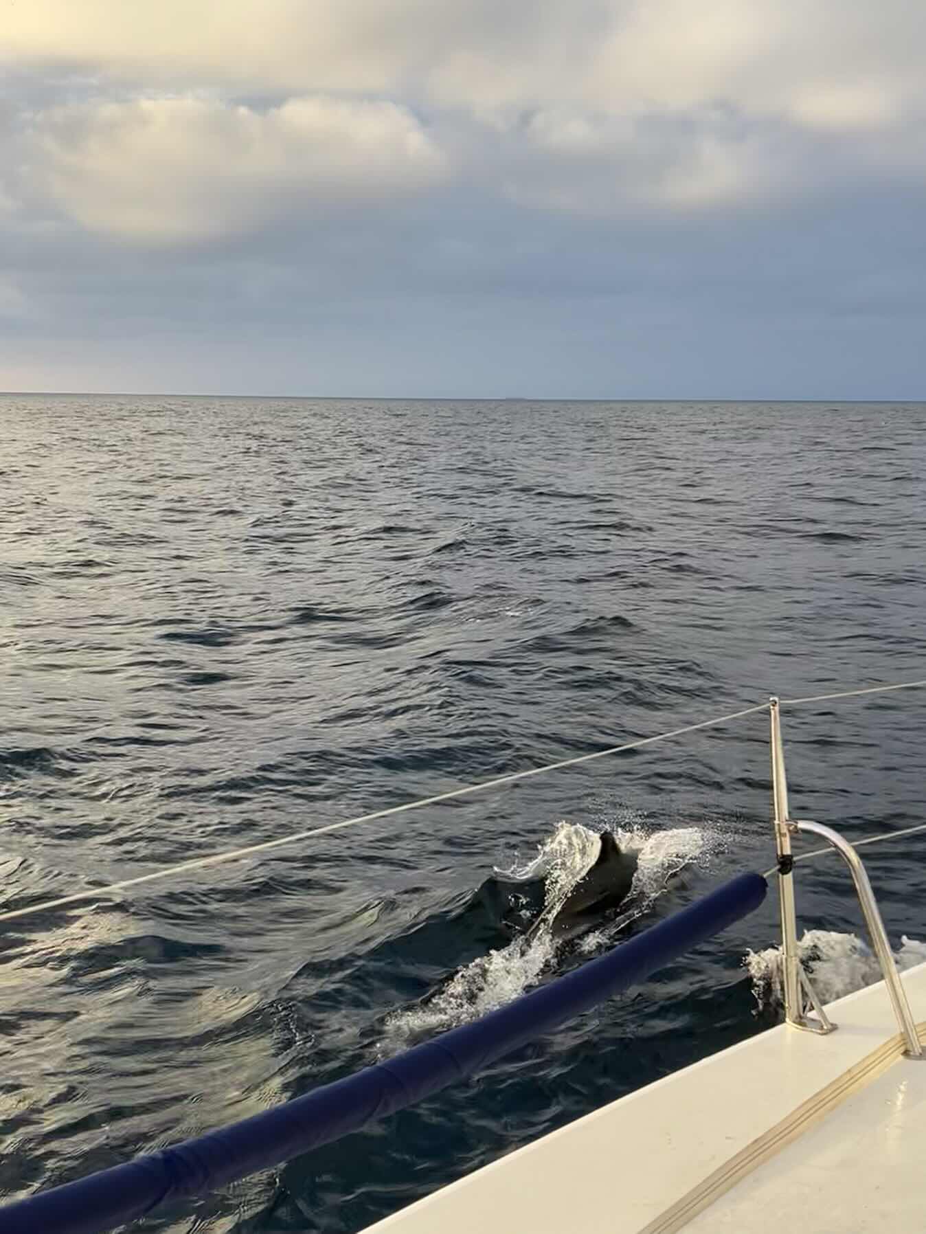 Cowes to Gran Canaria - October ‘26_B2F2AB6C-8F02-487C-80EC-1950D101A2D3