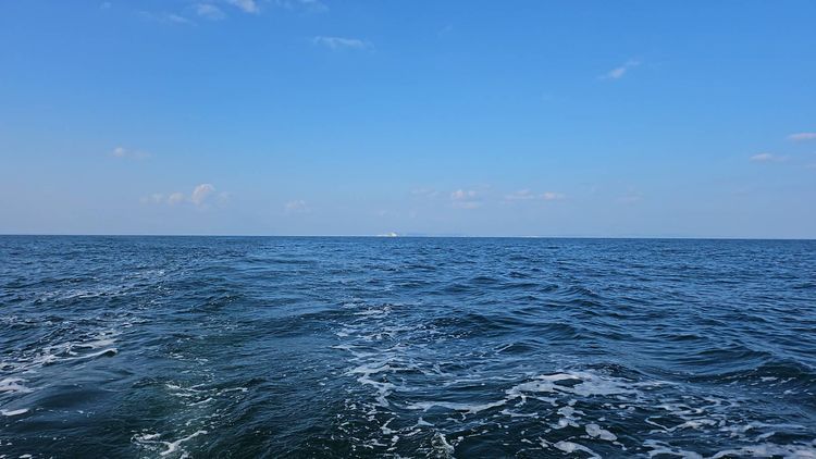 Voyage photo from 