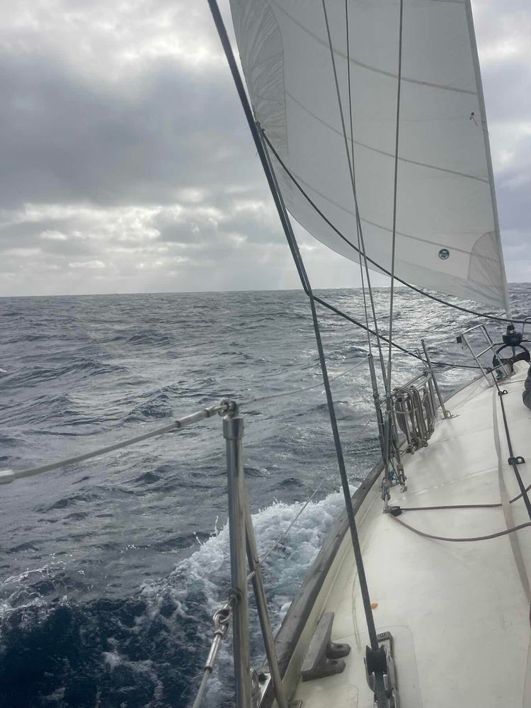 Voyage photo from Bye bye New Zealand! We are off to Minerva reef and beyond!
