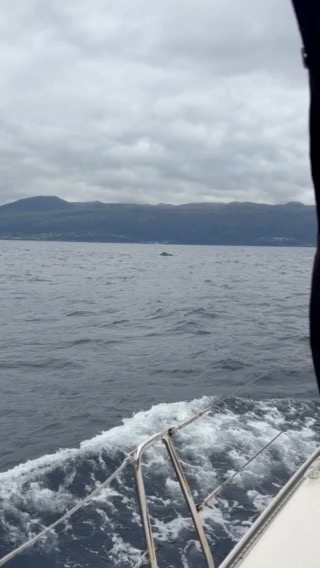 Iyt bbs Azores_5502EBC4-64C0-4873-8C26-50585C4535BB