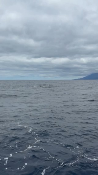 Iyt bbs Azores_675775B6-18C0-48D4-9F38-FE9BB7DFFD12