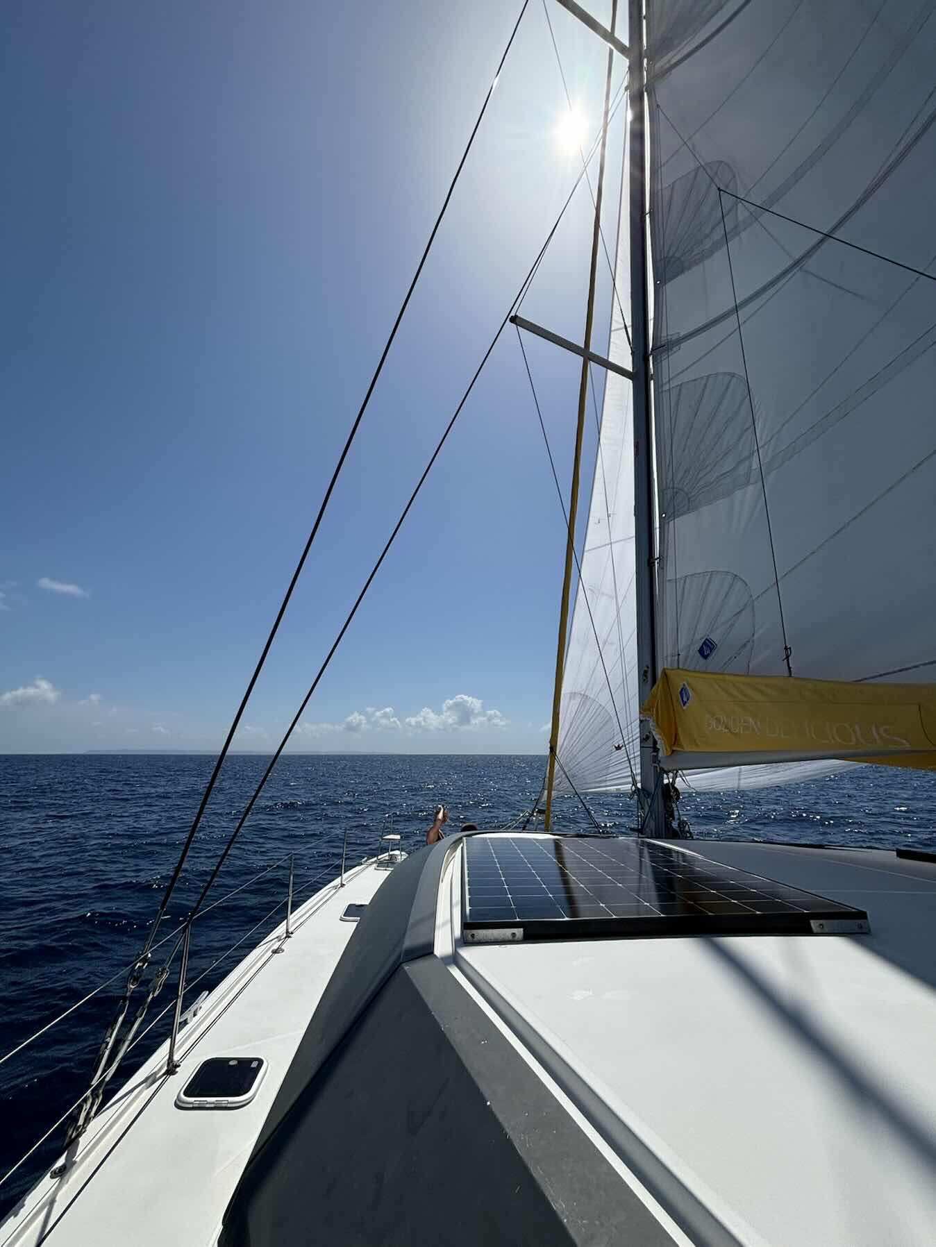 Croisière Guadeloupe_681BAC8D-52B7-4058-A80E-EBB33BA6757F