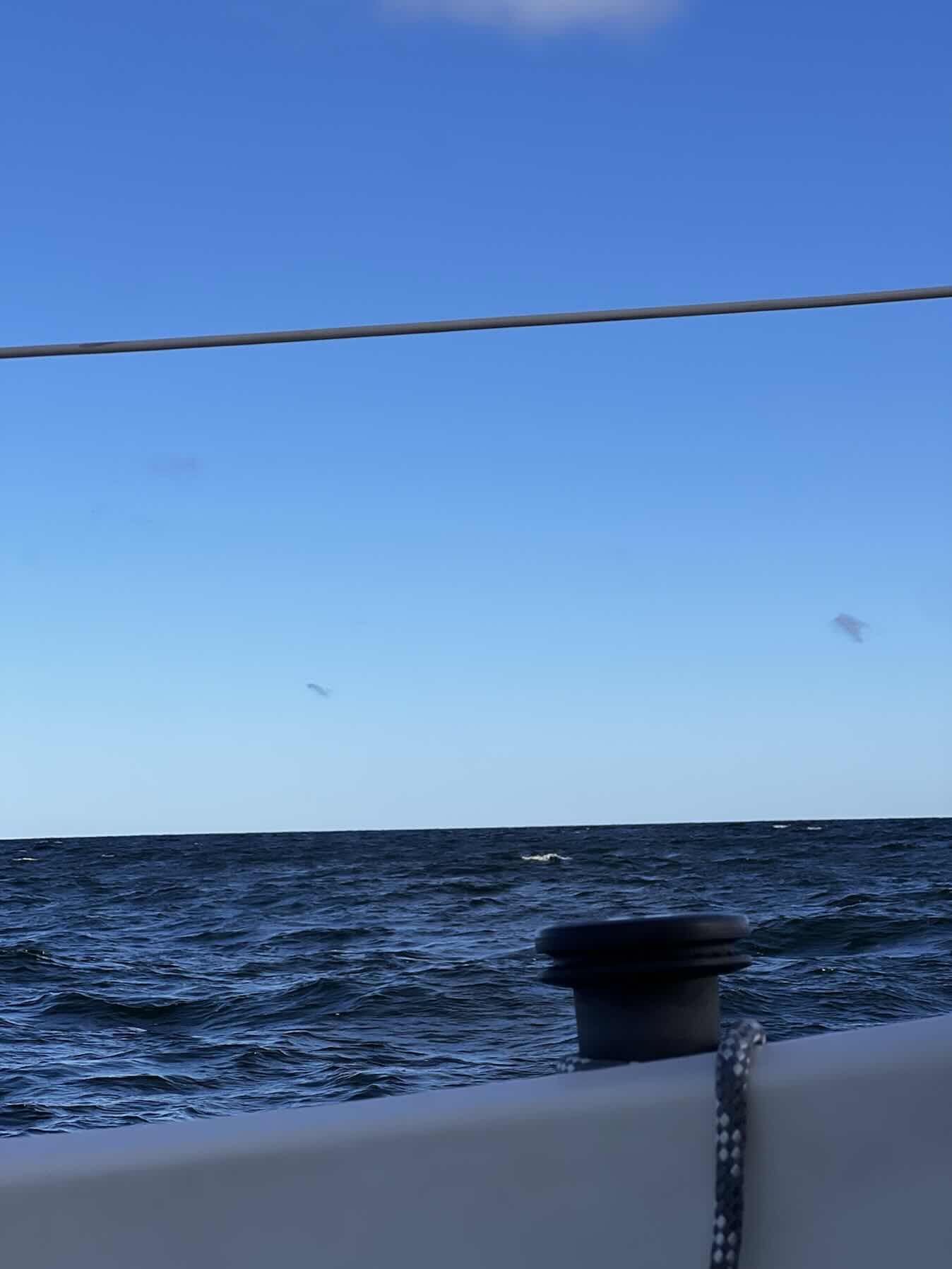 Mecklenburger Bucht Sailing – Day 2_DBED0EC5-63DE-4B8D-8453-D4C82914E968