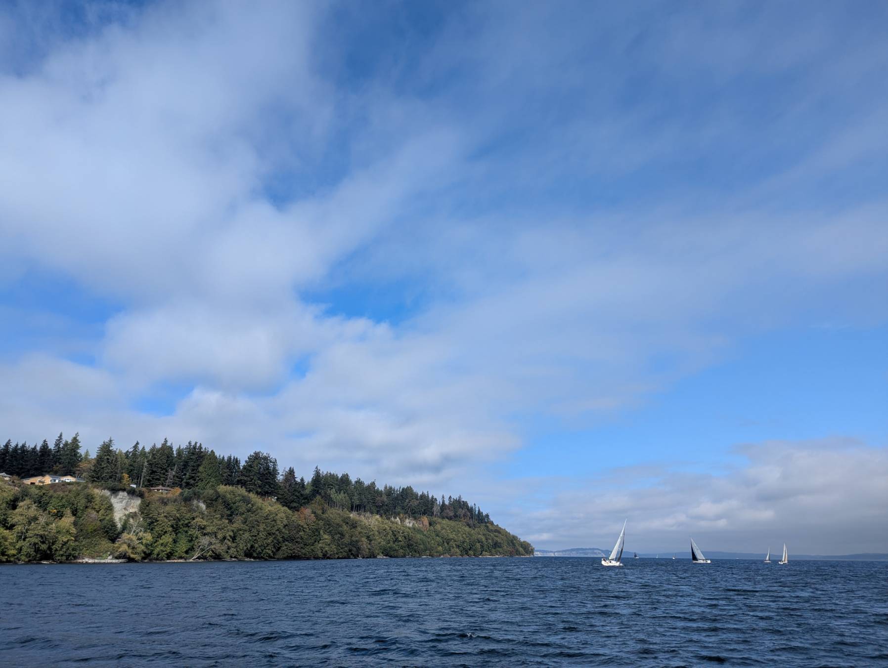 Foul Weather Bluff Race (Oct 2026)_3DFA452E-4668-4A99-8CBD-18F36BB2B8DC
