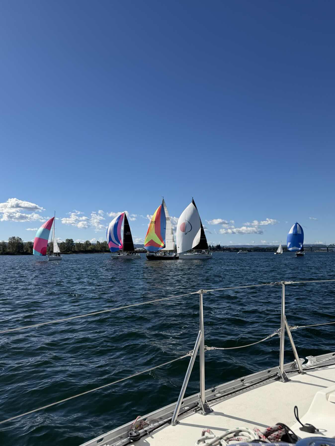 Sail on Sunday Race_C6534F89-E6D2-489C-BCFE-32561B09A01E