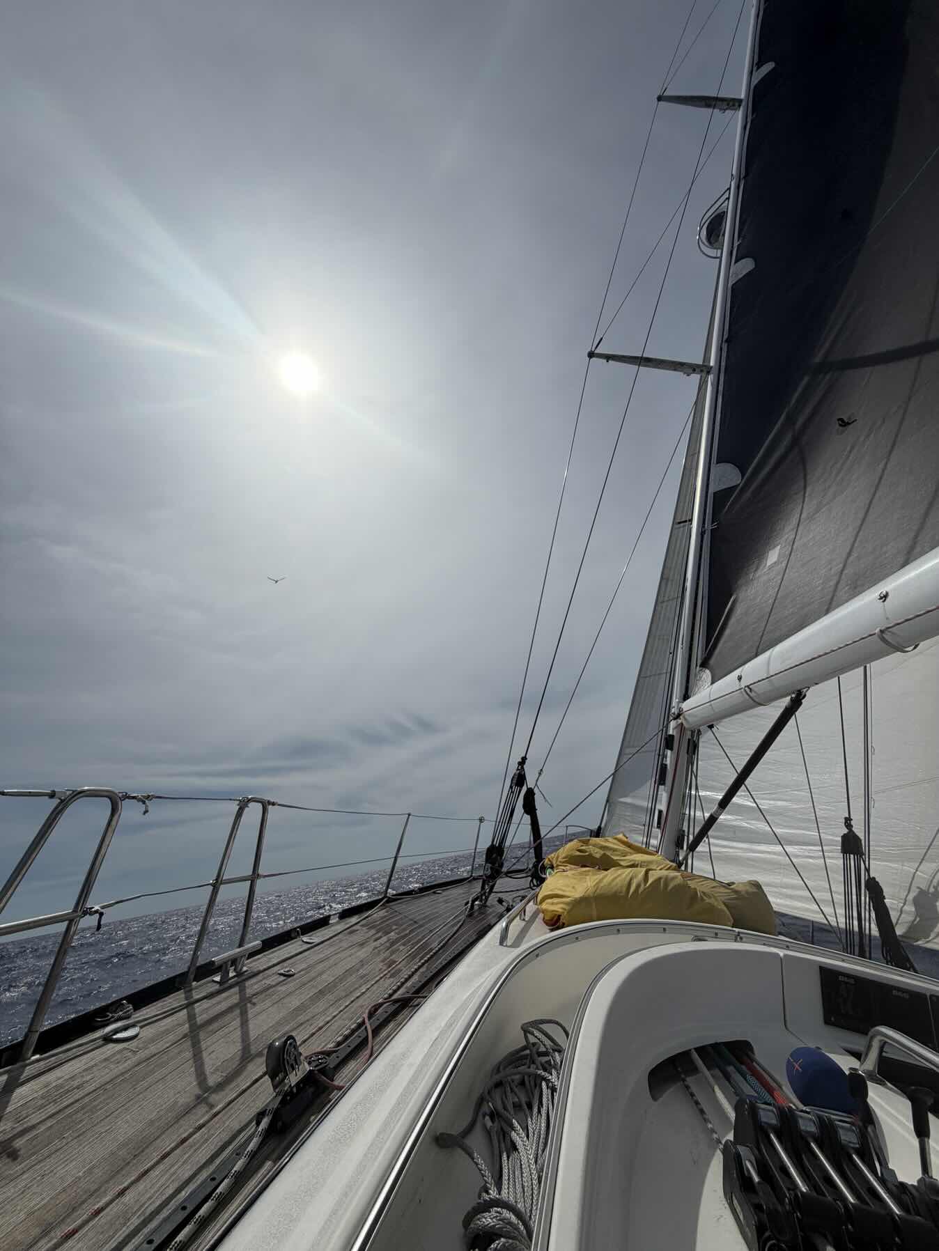 Delivery: Bermuda to Baltimore_209140EA-6A17-47E2-B10B-4E47B10D5426