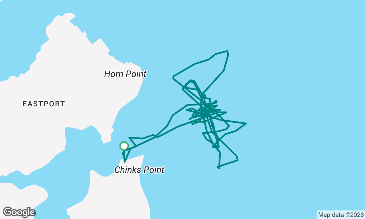 Annapolis Sailing School KBC - Mon Races 