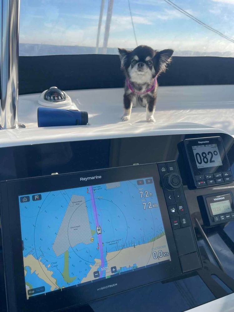 Voyage photo from Kemah-Galveston 