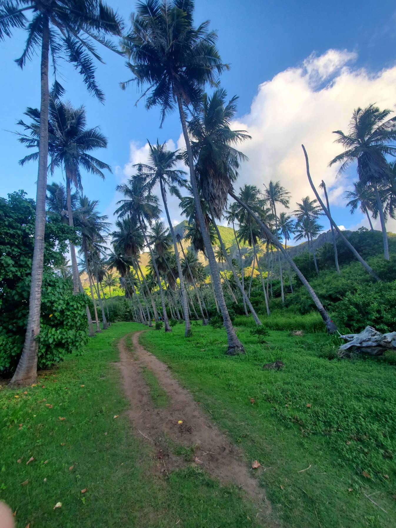 Baie D'Anaho-Baie De Taiohae (Nuku Hiva)_8DB895C2-4B36-45F7-96F8-61FA2B138BD0