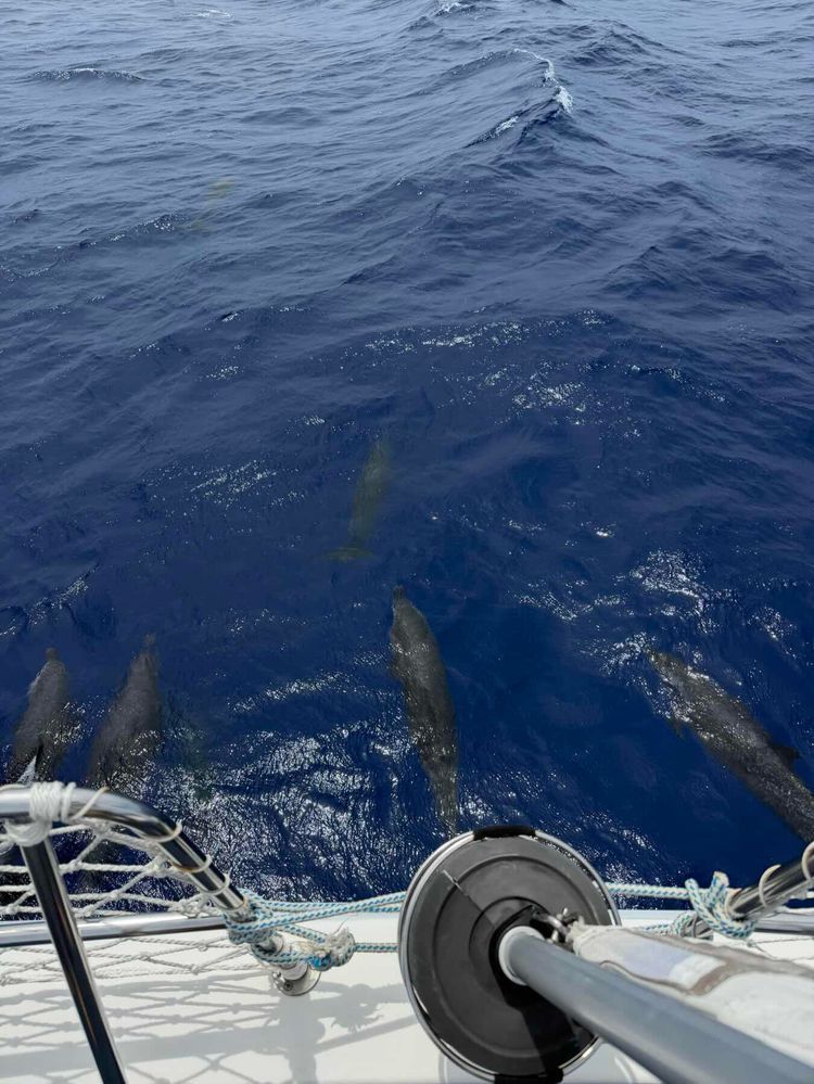 Voyage photo from Overnight crossing from Double Breasted Cay to St Augustine with a big storm! 