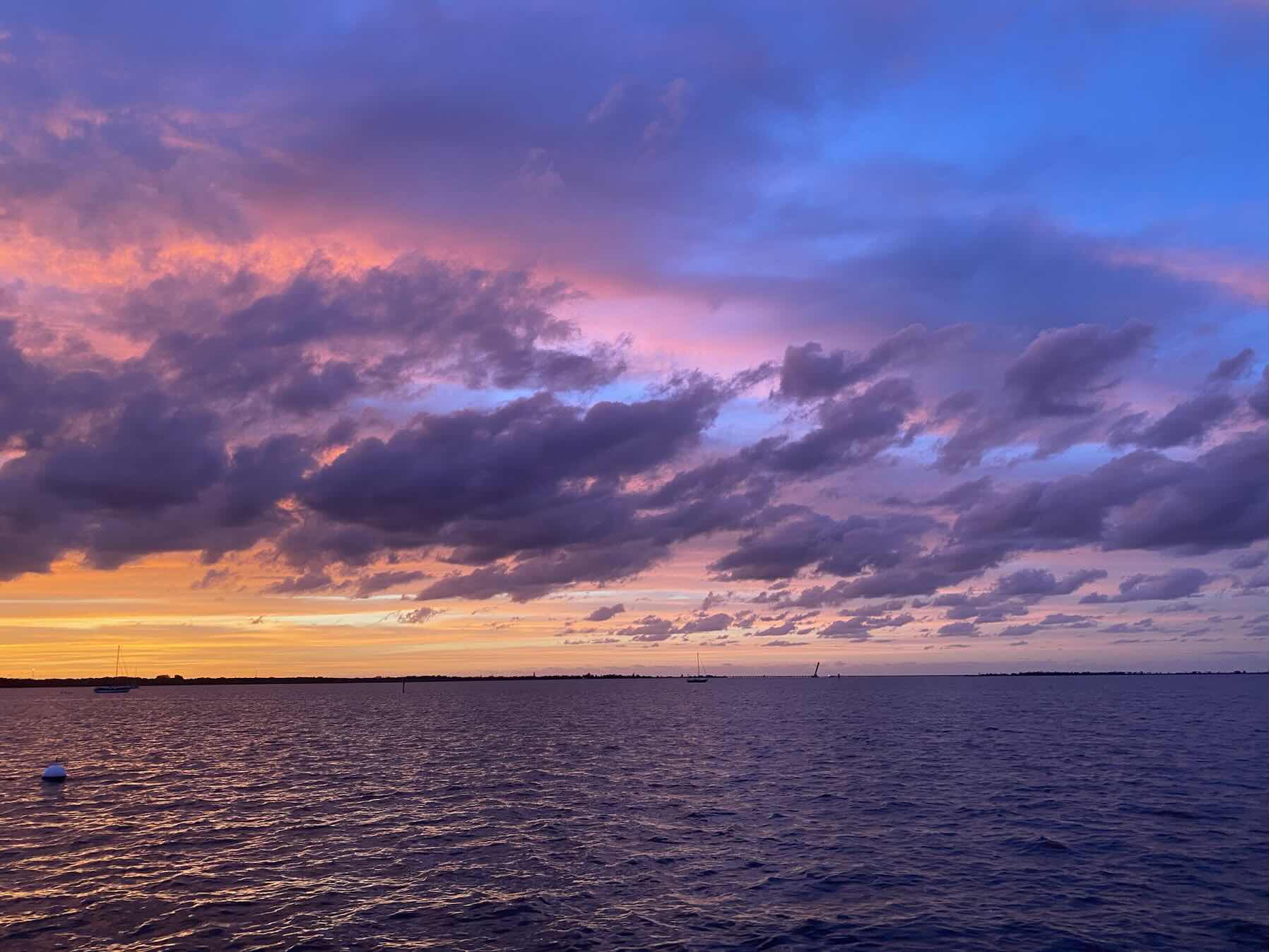 Dolphins on the way to Cape Canaveral_435D1016-16B3-4216-A55F-3580B28A9F9D
