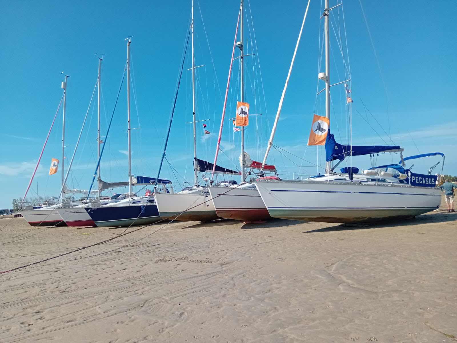Ashlett Creek to Hayling Island Beech_31BDF020-F1E1-44B9-9009-F3B6C90044DE