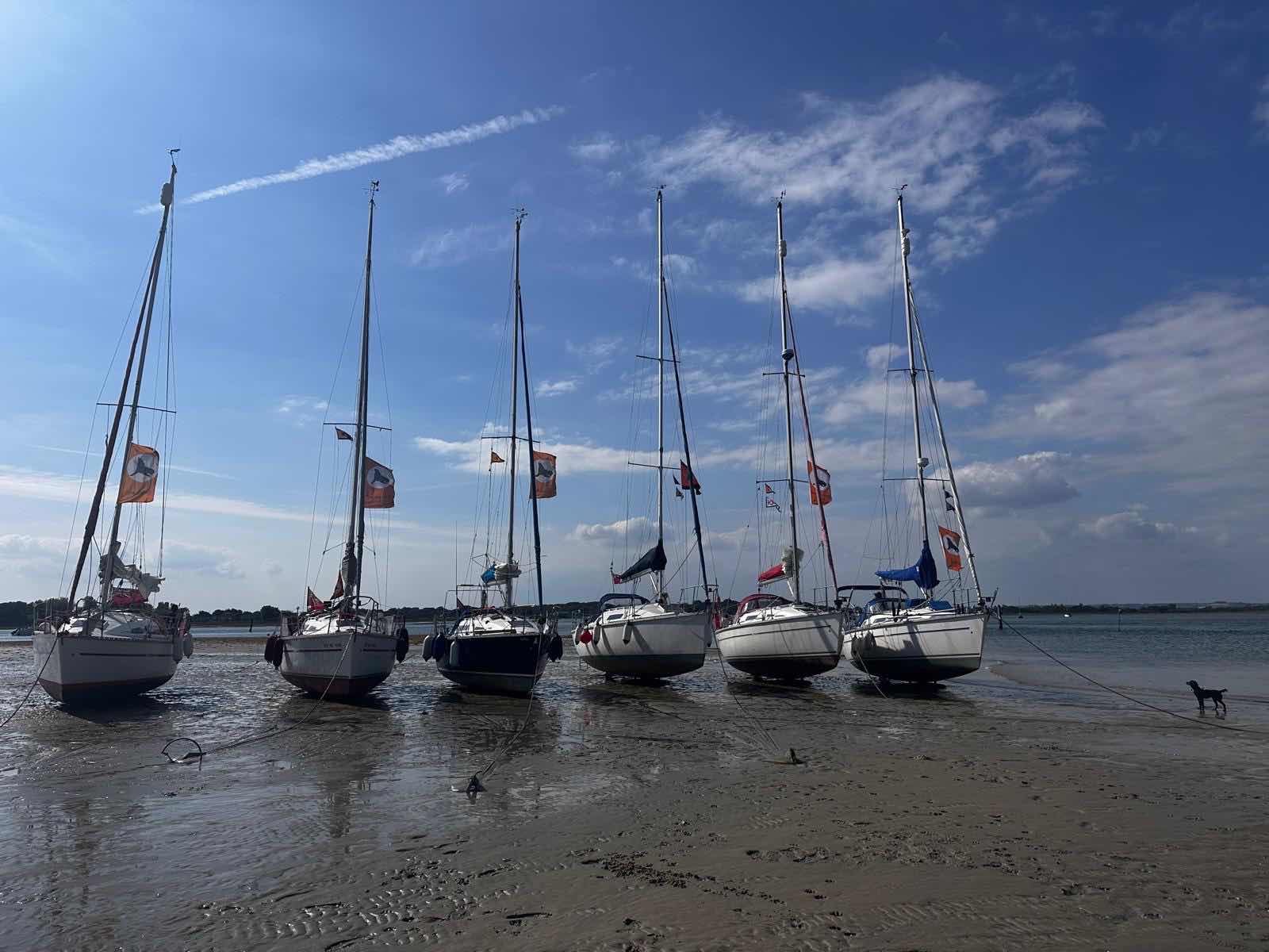 Ashlett Creek to Hayling Island Beech_BA73A950-9C59-41B4-88C9-46FD103FA76A