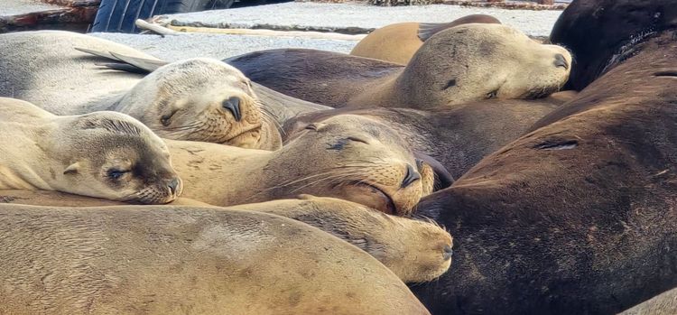 Voyage photo from sp5 with Amy on 659