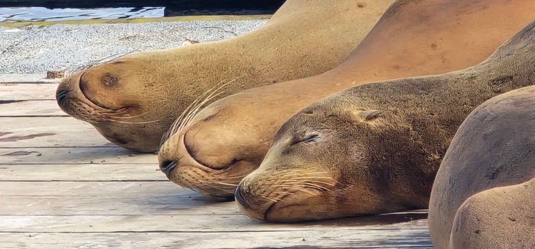 Voyage photo from sp5 with Amy on 659