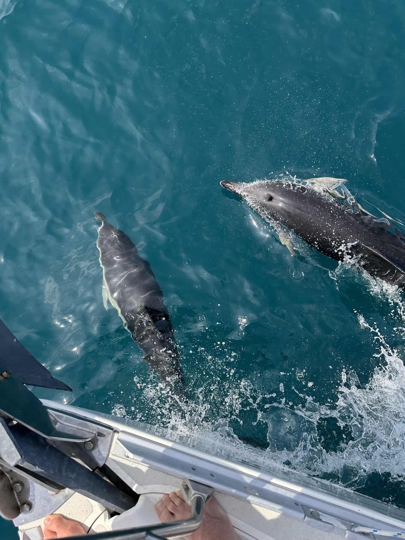 Incredible sail to Salcombe _EFDB644B-CF07-476F-89BE-306047463F1D