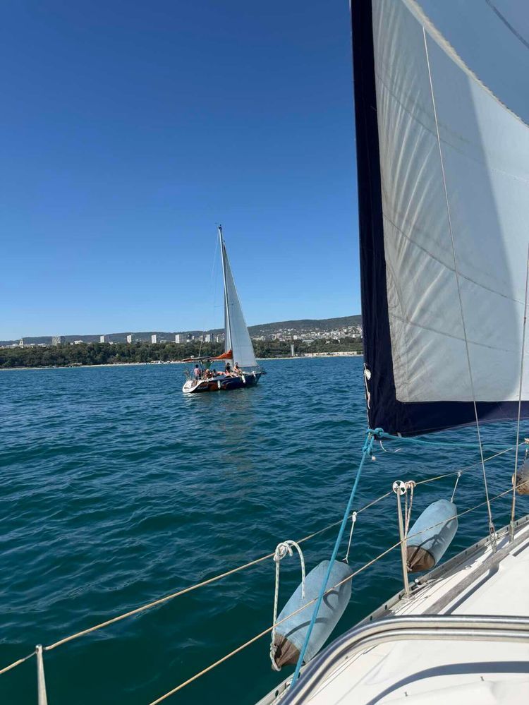 Voyage photo from Sail training session