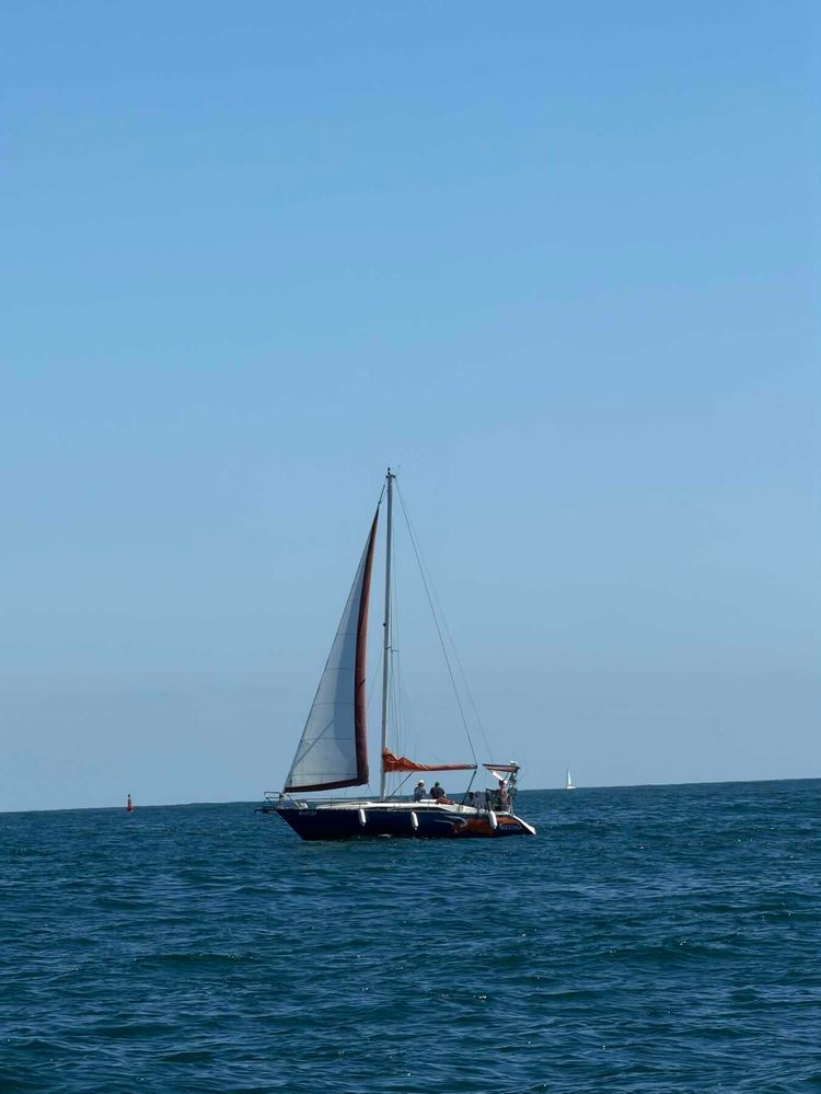 Voyage photo from Sail training session
