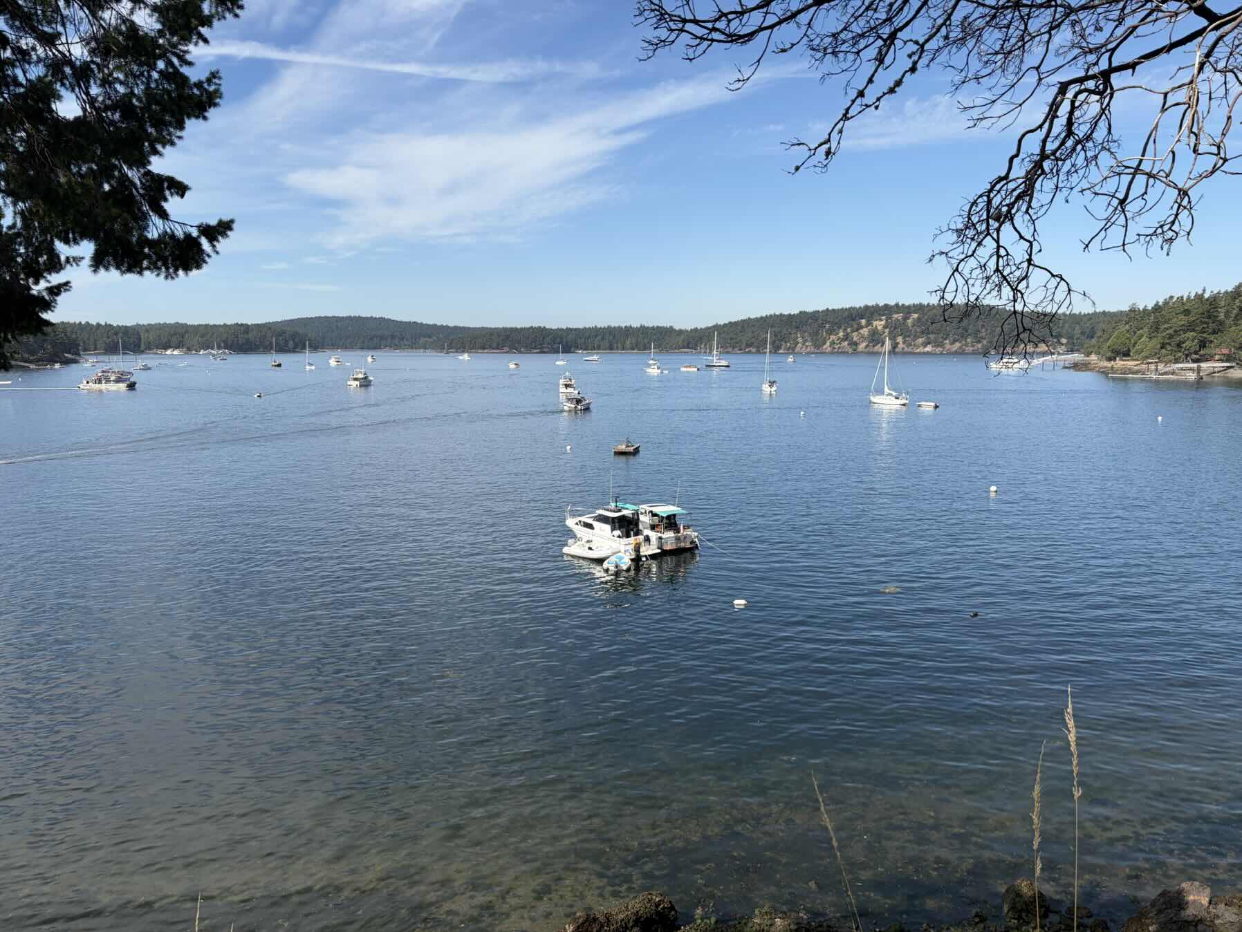 San Juan Islands (Day 4)_4C0835AA-17A8-4A3C-BA23-4C53AC4B0FC5