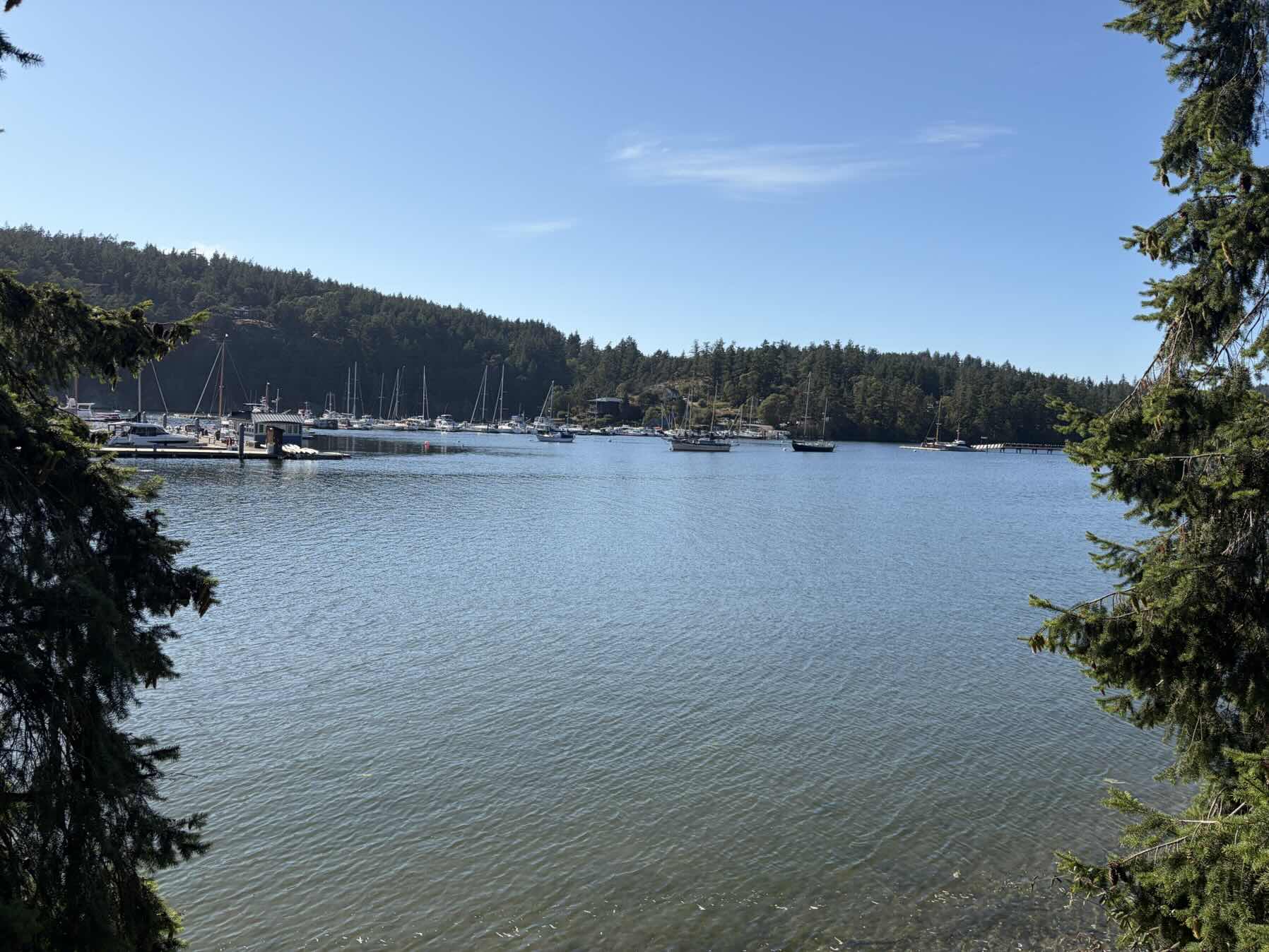 San Juan Islands (Day 4)_C1E2CA69-A549-4C10-B84A-7CC83F24B32C