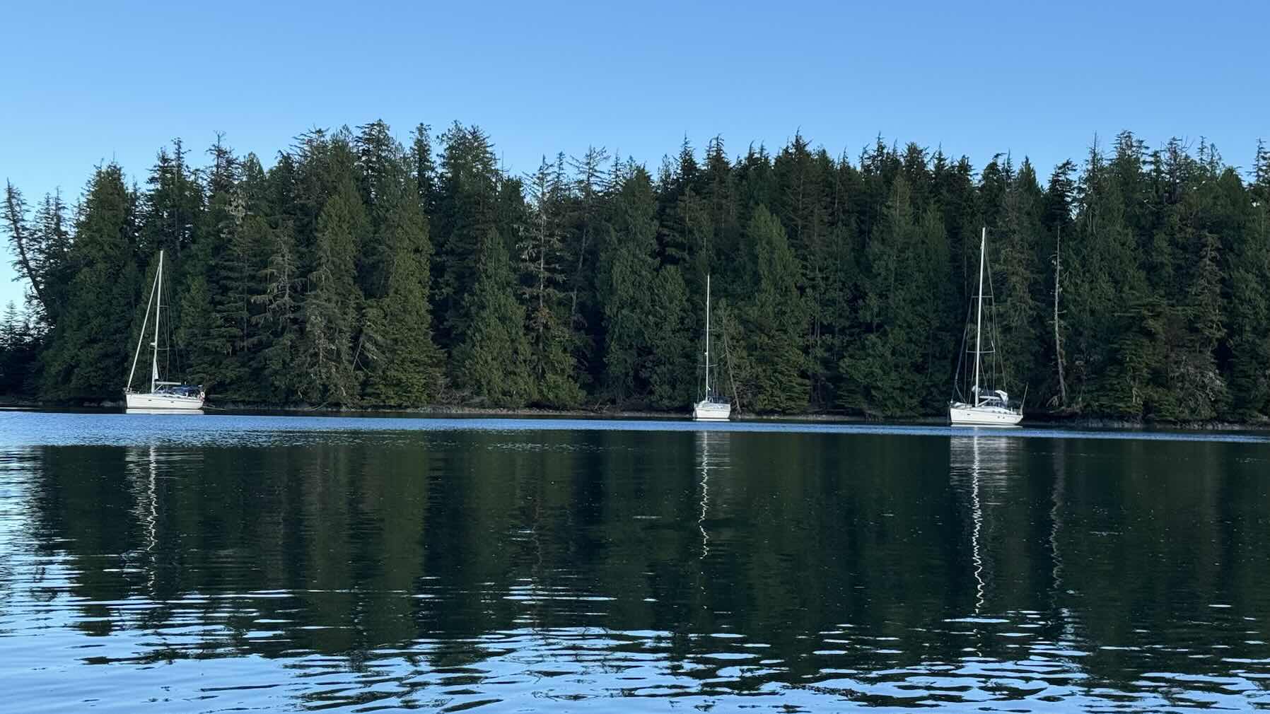 RRR 2026 Day 14
Bunsby Islands to Walter’s Cove_D680445F-E003-4526-A9A9-E3E2DCEC4F23
