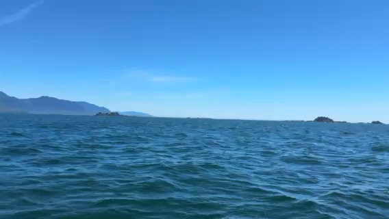 RRR 2026 Day 14
Bunsby Islands to Walter’s Cove_F07F984B-6FF5-4E85-B543-8EFA36560512