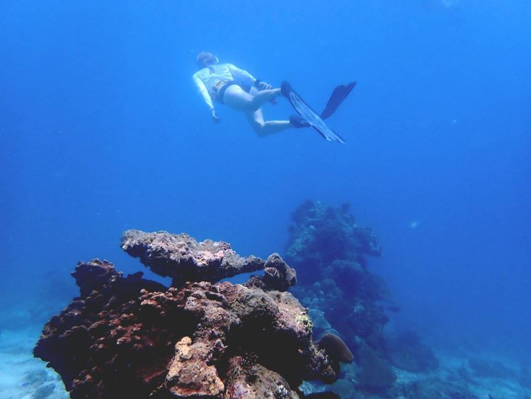 Voyage photo from extramile.org.za Seychelles 2025