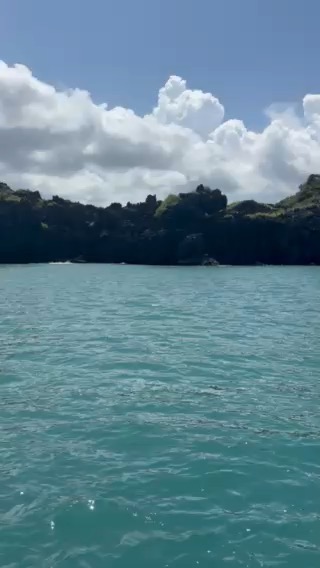 Back to Langkawi Marina
_D9825D63-3566-42D8-8CB9-1748CAF44739