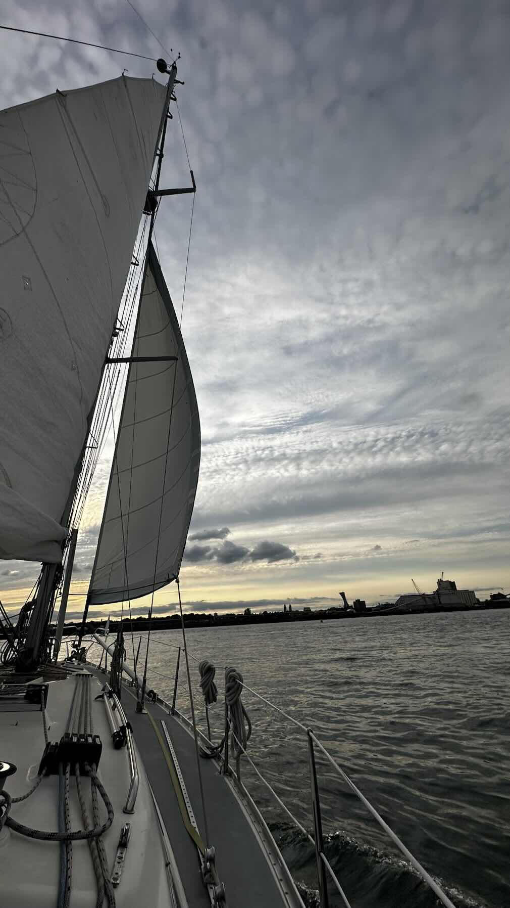 Sortie niveau 1 | Ohana Sailing_1E7838EE-7343-403B-8E2B-36B2C51994BF