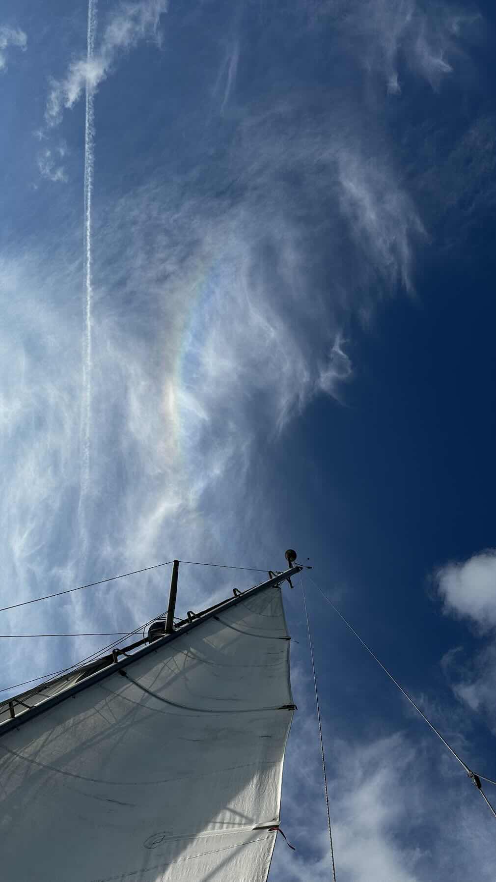 Sortie niveau 1 | Ohana Sailing_DCF74D24-E7AC-4EB7-B21D-C78A4D524F8F
