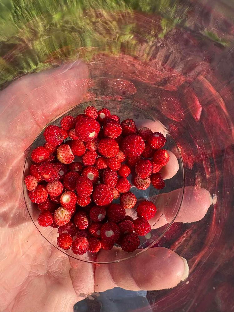 Voyage photo from Day 22, Sailing to Hamnsundet, Aland