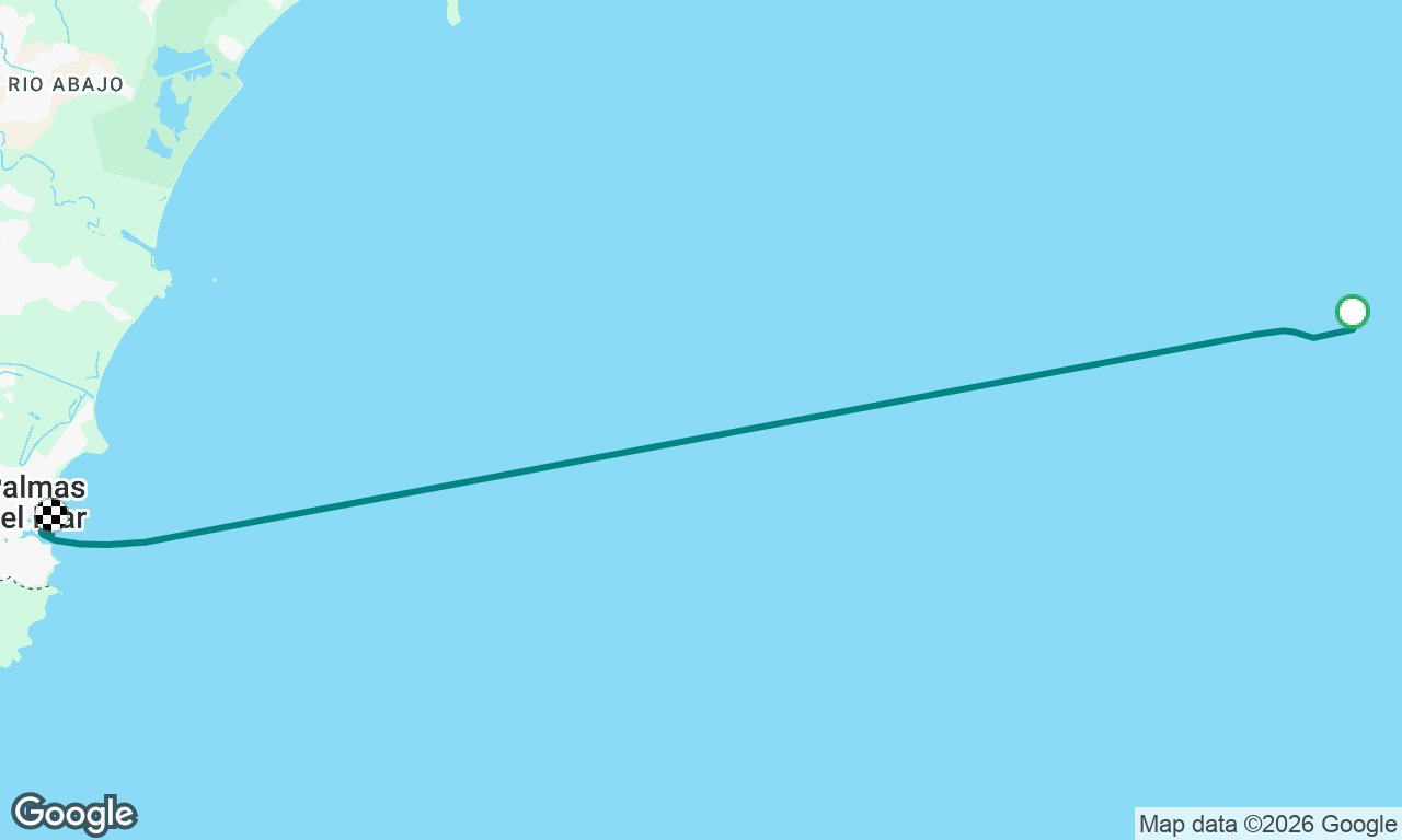 Punta Arenas to Palmas