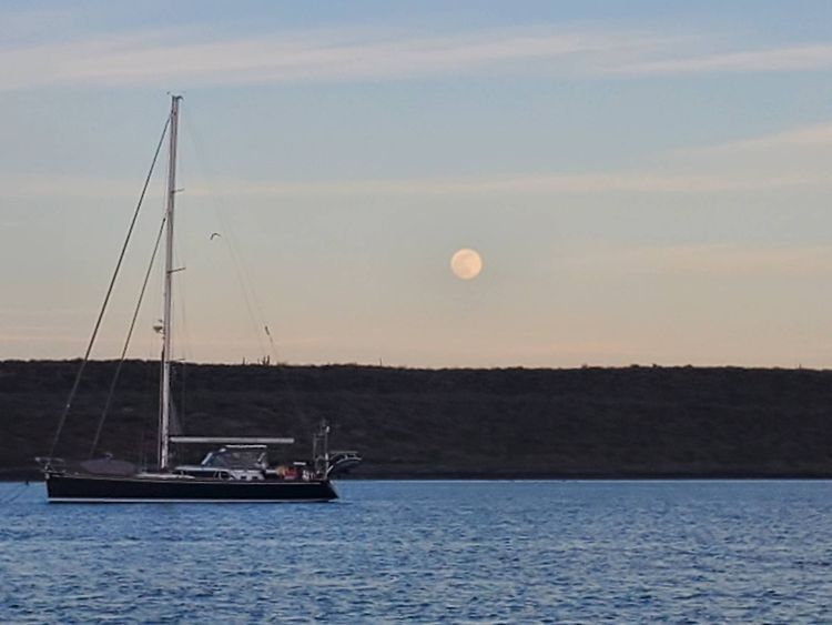 Voyage photo from Loretto -Isla Coronado 