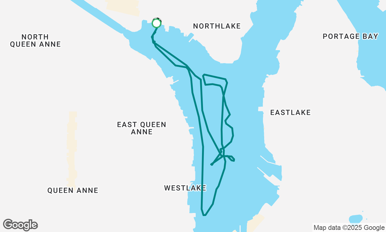 Still Totally Not Duck Dodge