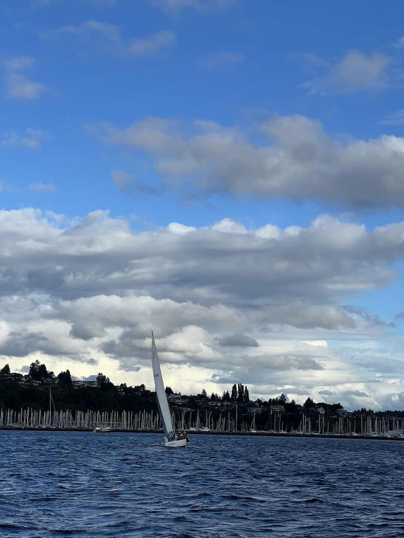 Sailfest 6/26_4D2AC42B-3BB1-4851-A7F5-5BB52F533F2F