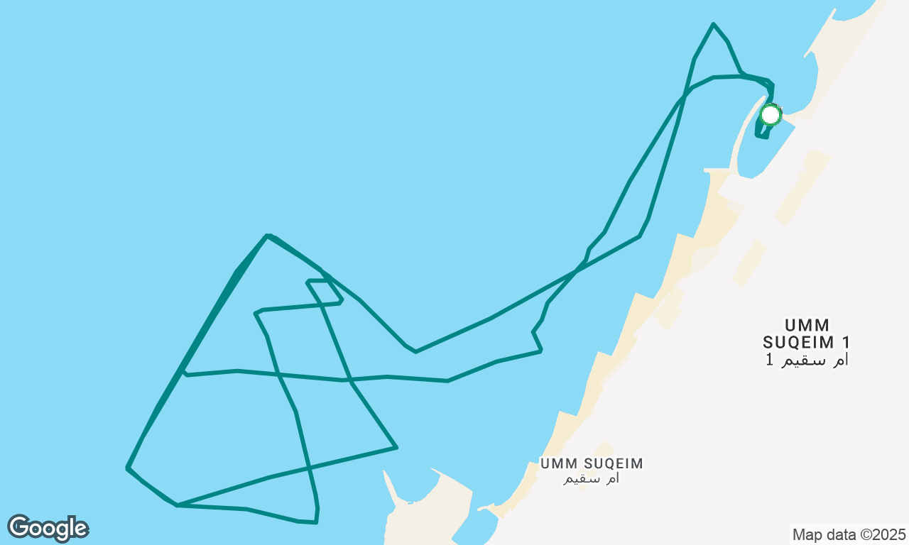 wed pursuit 19th Aug
