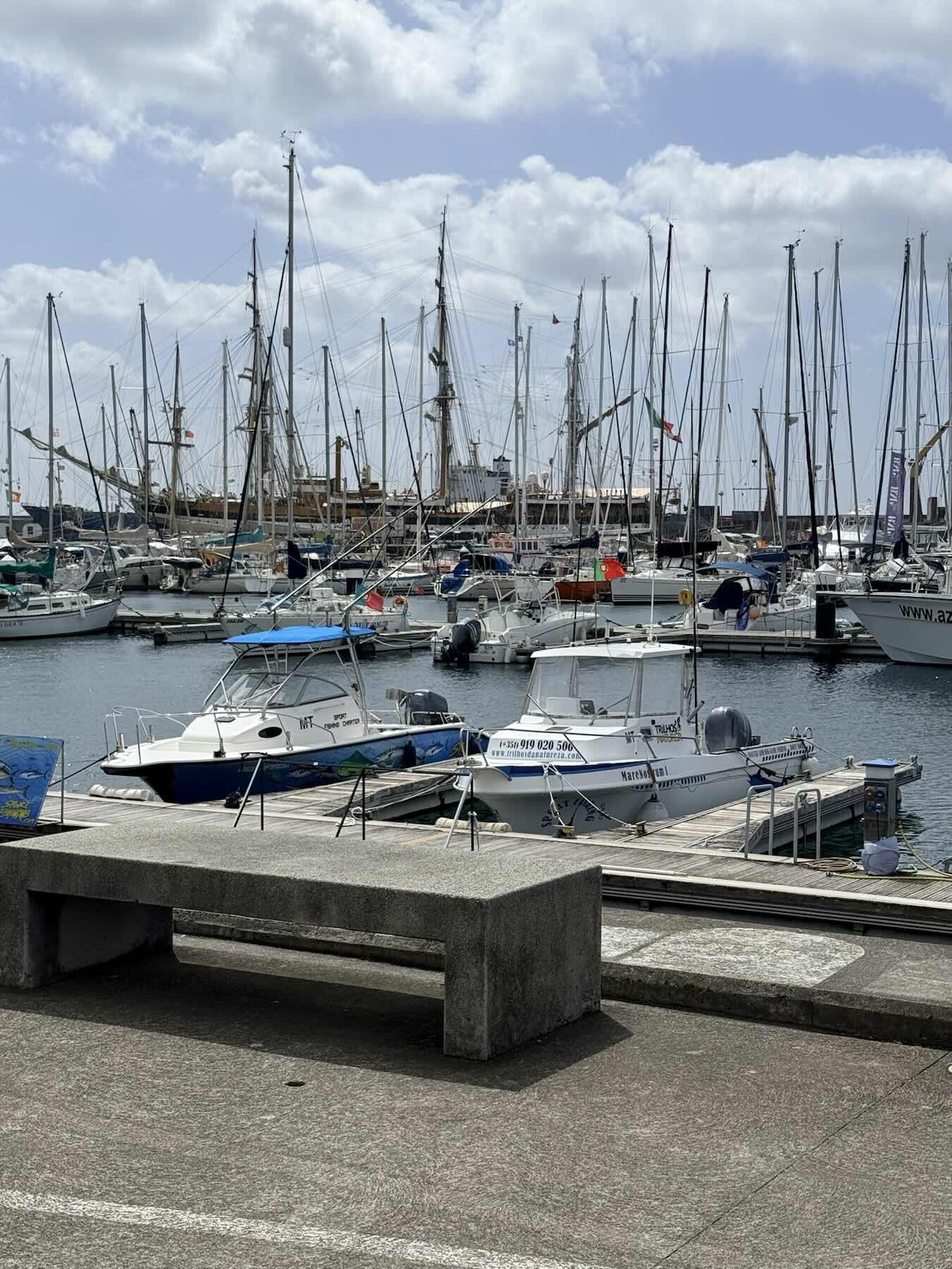 Marina de Ponta Delgada, Sao Miguel, Acores - Marina Oeiras (PT)_629E8A06-BD51-48FB-944E-D9E0B7D5077D