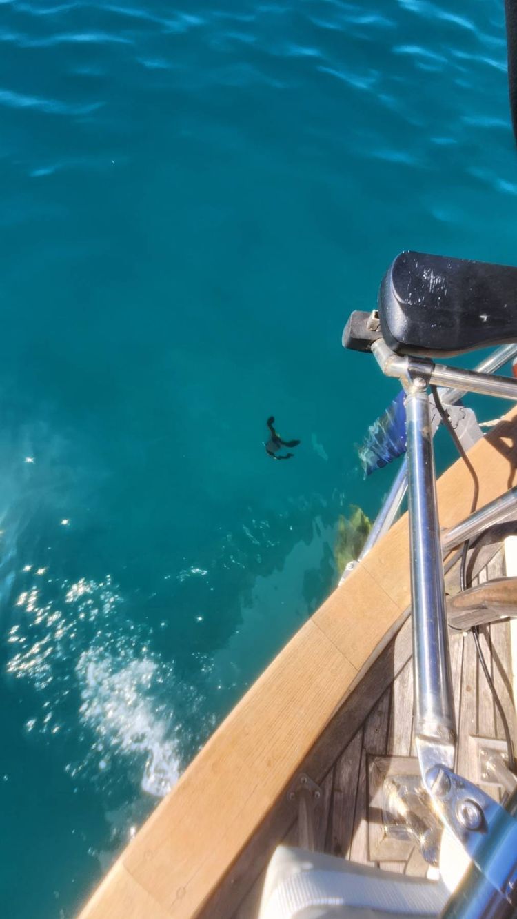 Voyage photo from Cape Capricorn to Great Keppel Island 