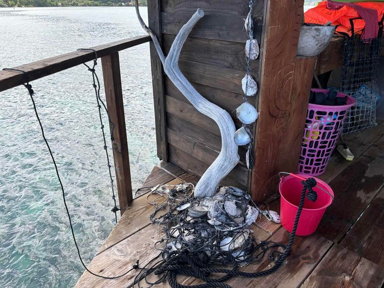 Voyage photo from De Anapa à baie Faaroa