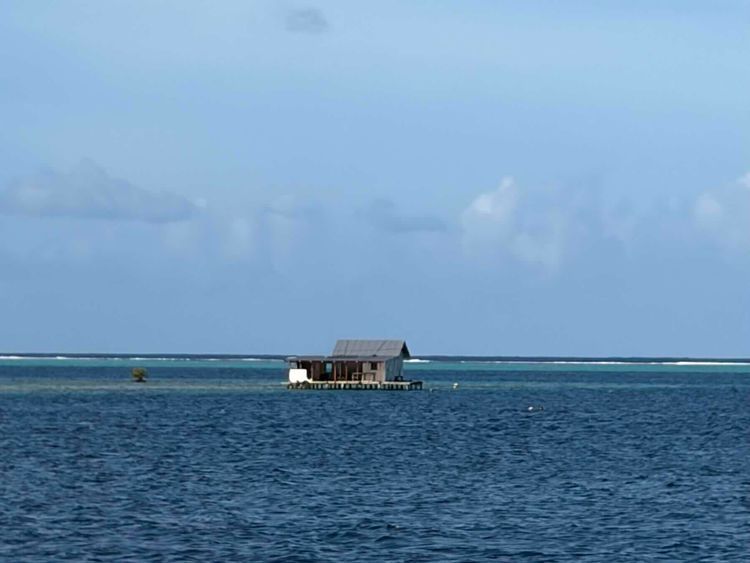 Voyage photo from De Anapa à baie Faaroa