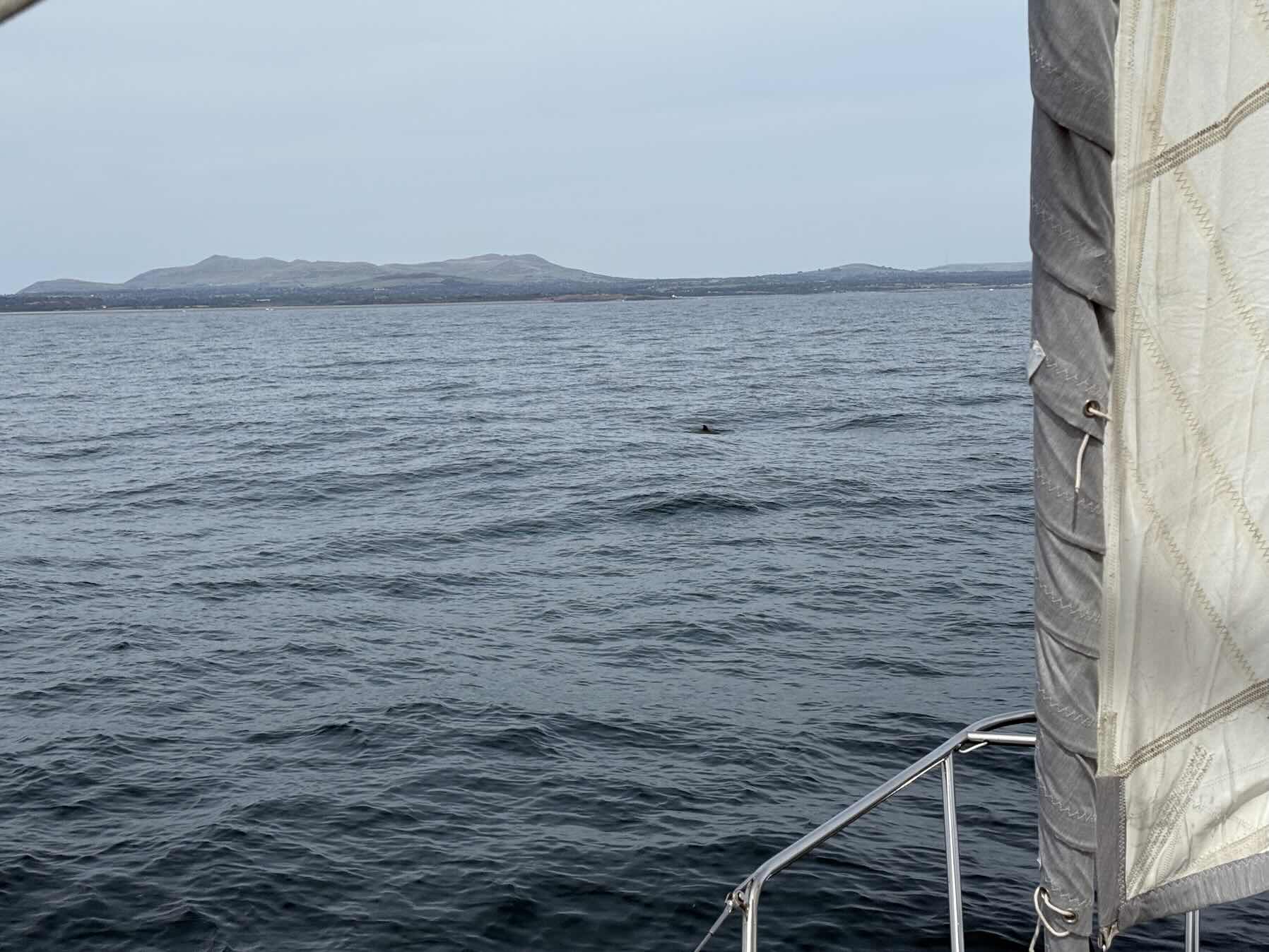 Voyage_B9F3A453-48DF-4A3E-90F8-AD8352B9663E