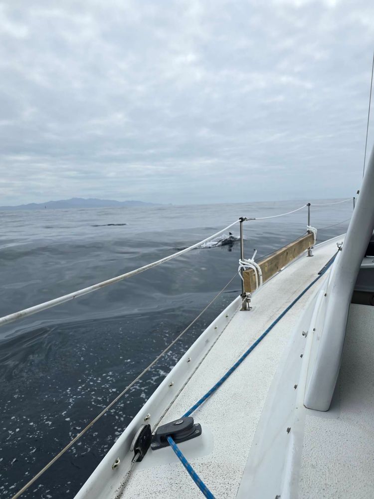 Voyage photo from Run to Barrier