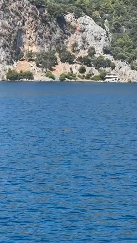 Türkiye 25’_46CF46CE-F1F9-49B7-9B45-267B2342CAD1