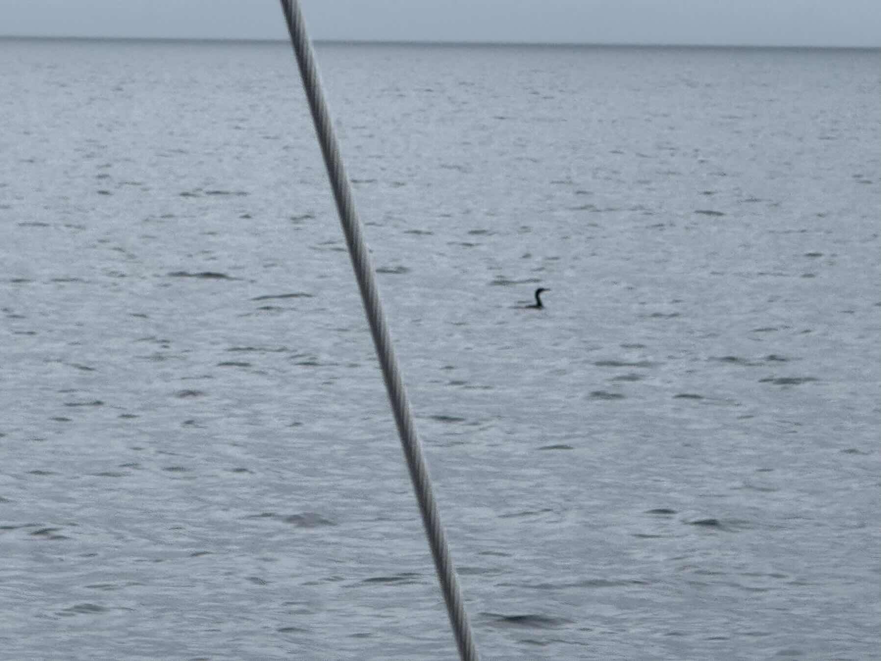 Scotland Day 2 - Lorelei_2413455F-F57D-41D6-8C68-A5B027395460