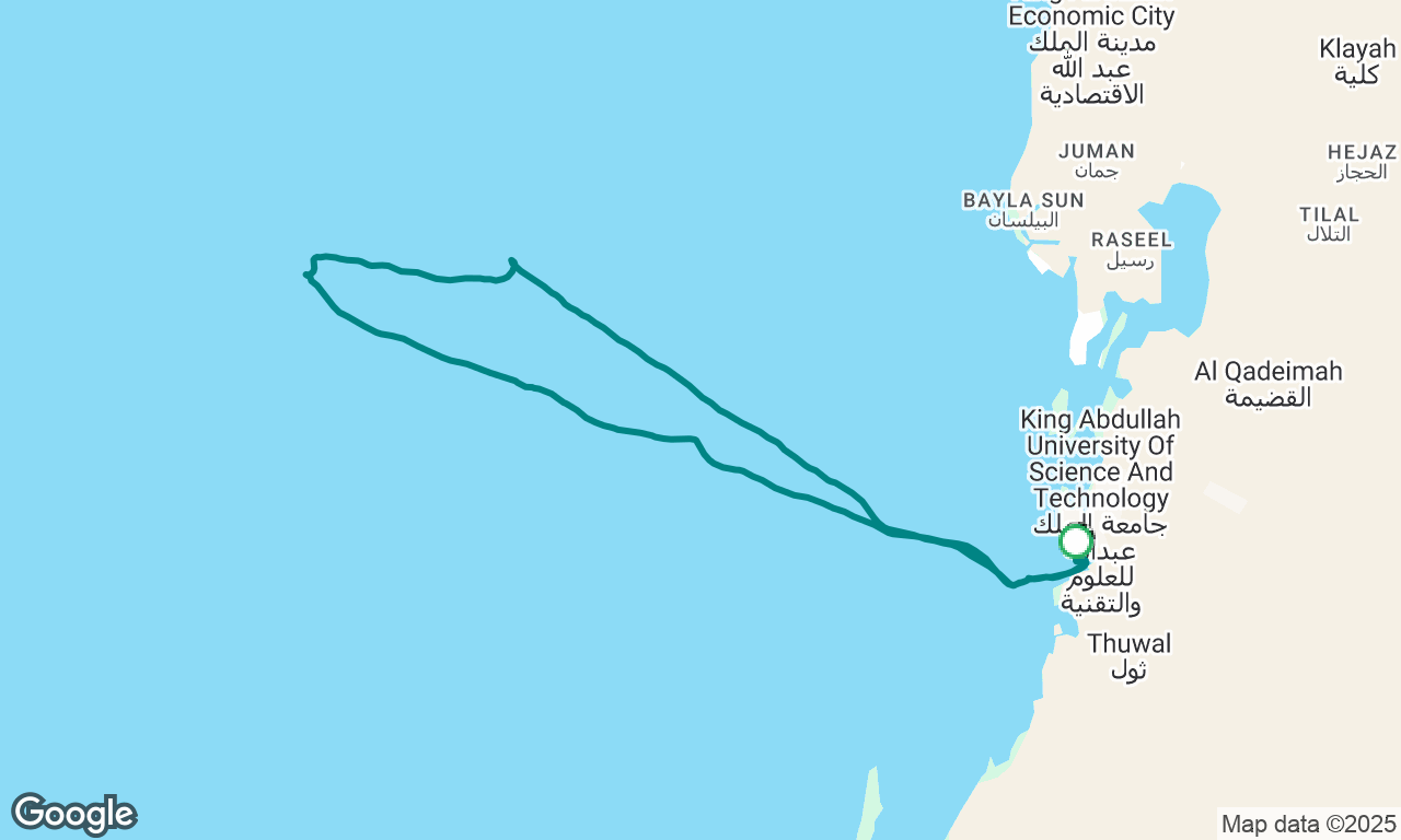 Red Sea Snorkelling Sail