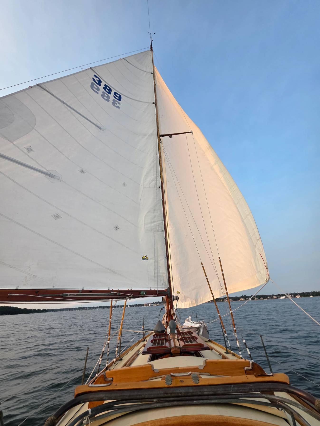 Day Sail _EC058F85-AD77-47E6-9C8A-386CB682C65E